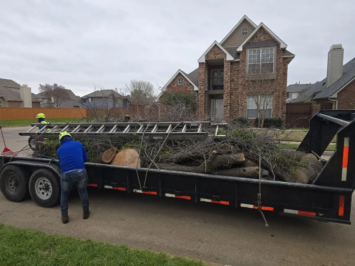 Expert Tree Removal with proper safety equipment in Marlboro
